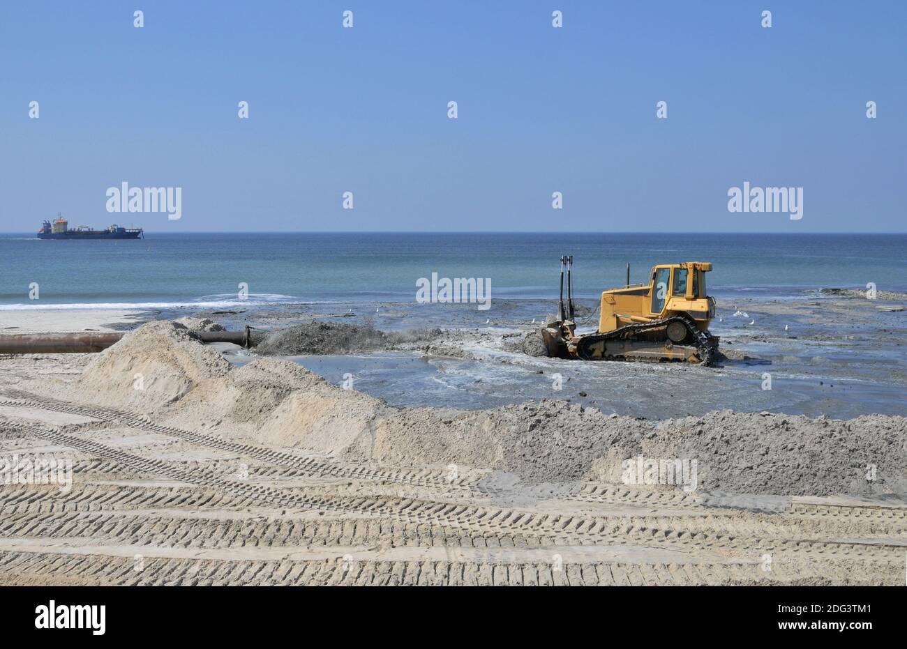 Nutrimento della spiaggia Foto Stock