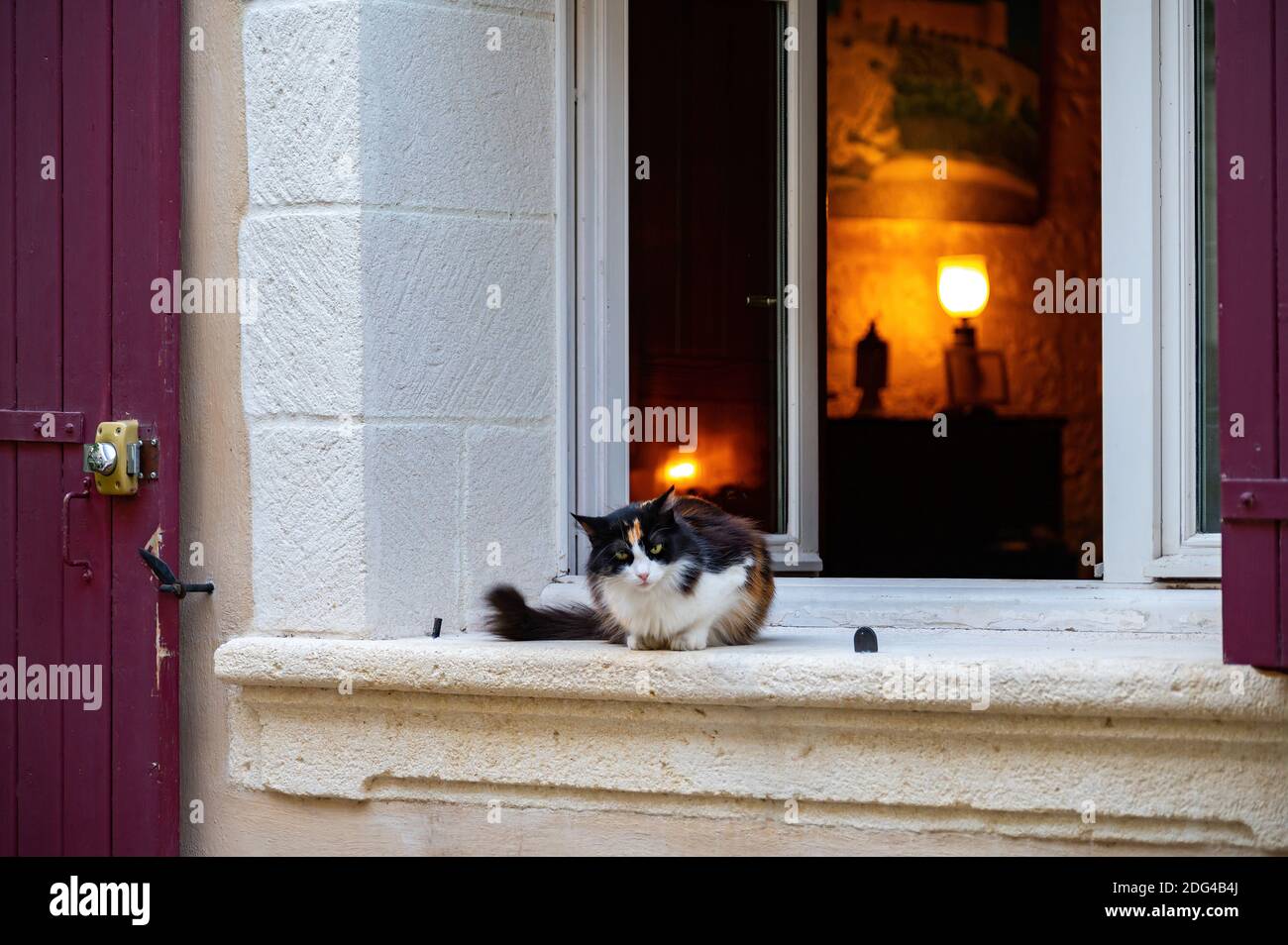 Gatto colorato seduto sulla finestra nella città medievale Villeneuve les Avignone in estate Foto Stock