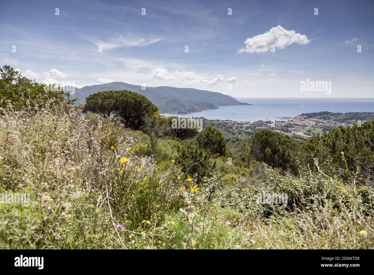 Marina di campo, vista da San Piero, Elba, Italia Foto Stock
