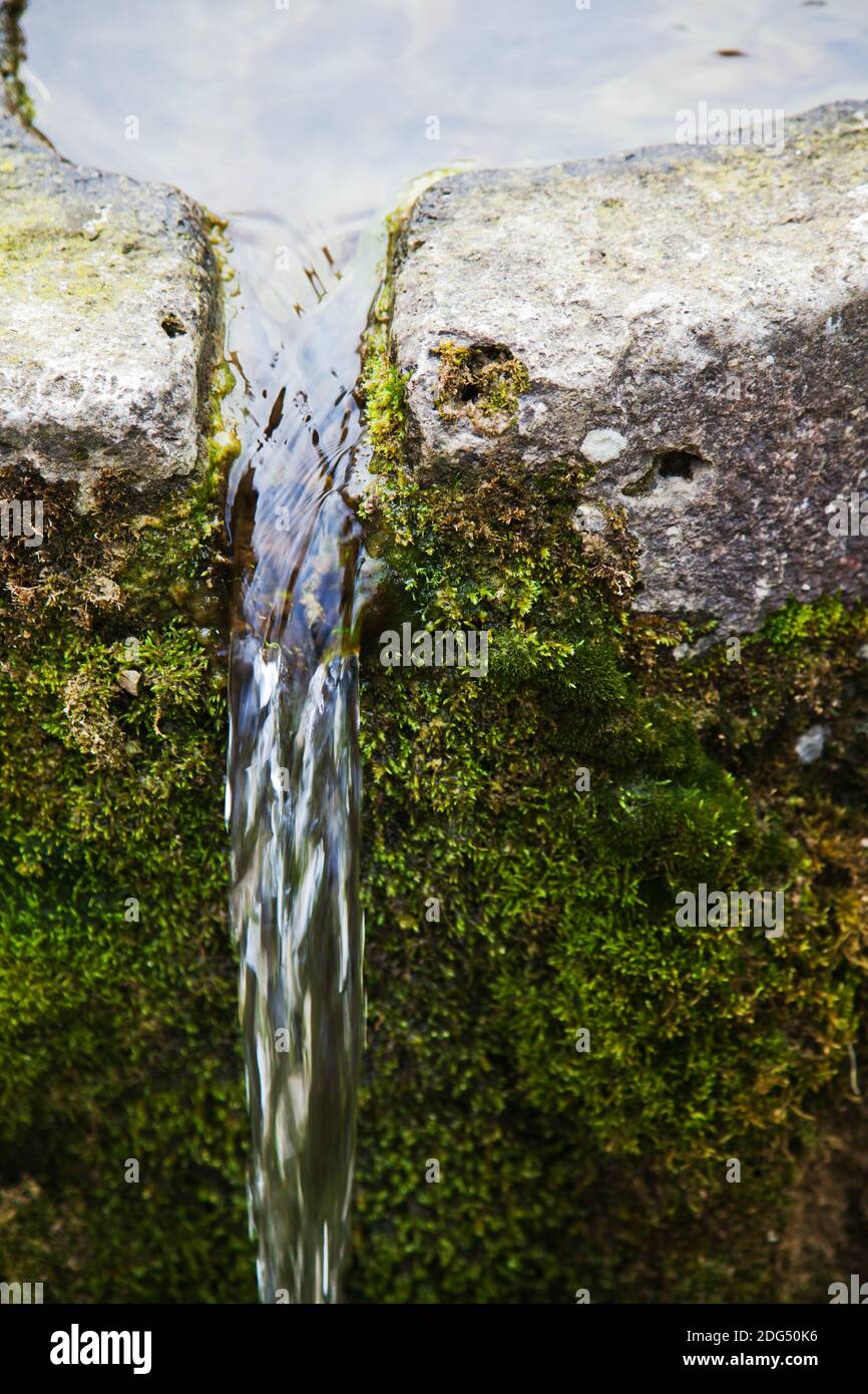 L'acqua che fuoriesce da un vecchio trogolo di pietra coperto di muschio Foto Stock