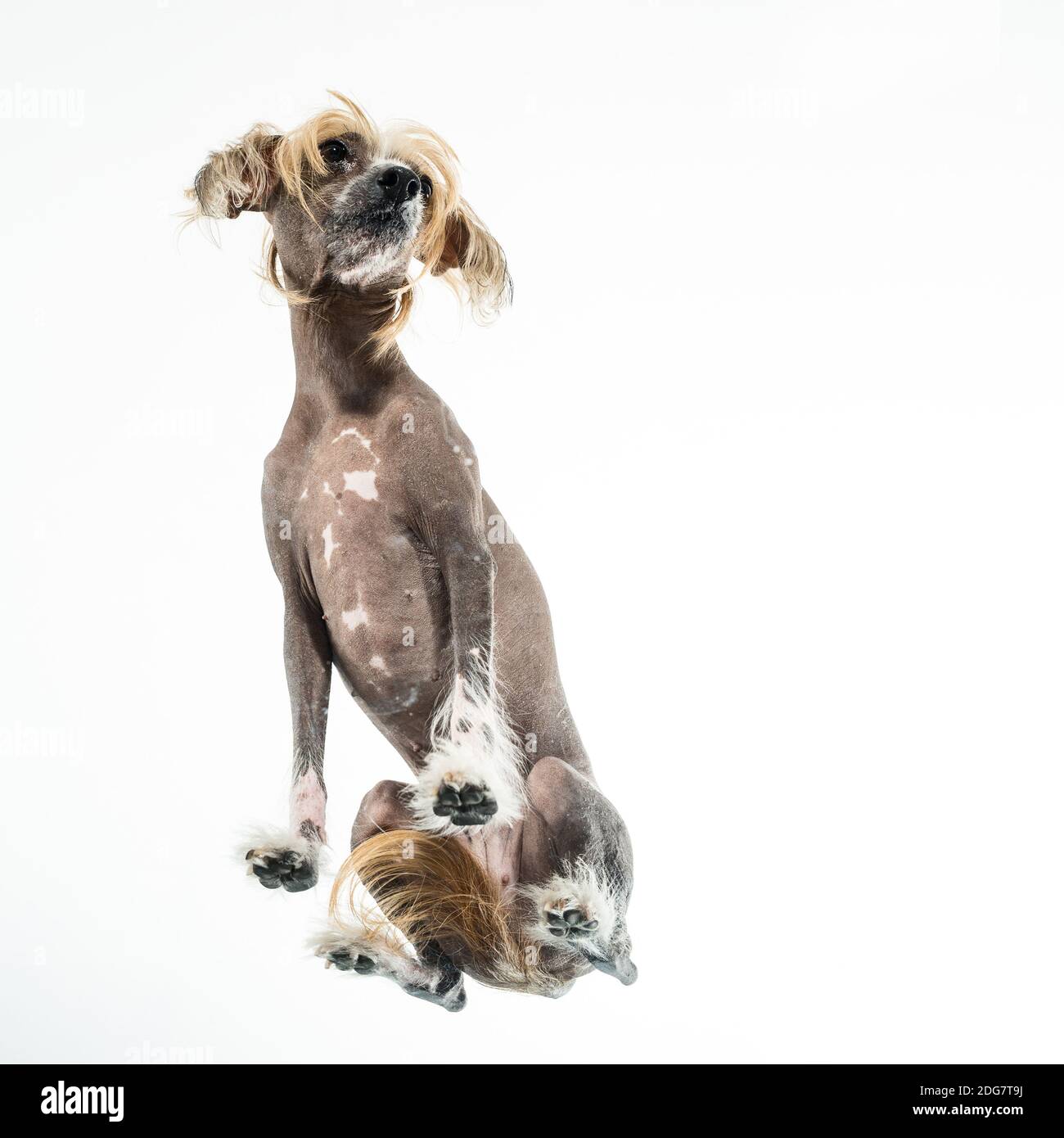 Aggiungi un commento Foto Stock