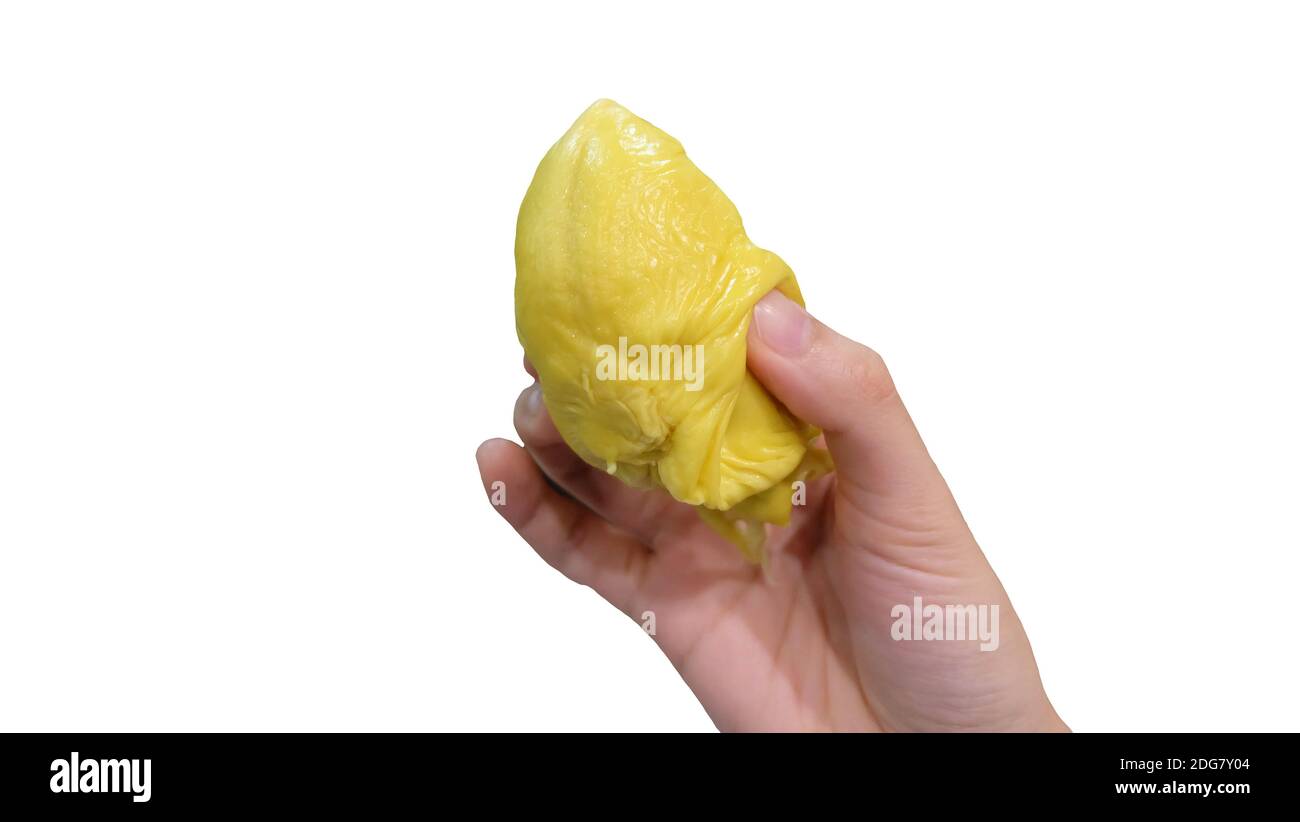 Una mano che tiene la polpa gialla di frutta dura, con isolato sfondo bianco. Foto Stock