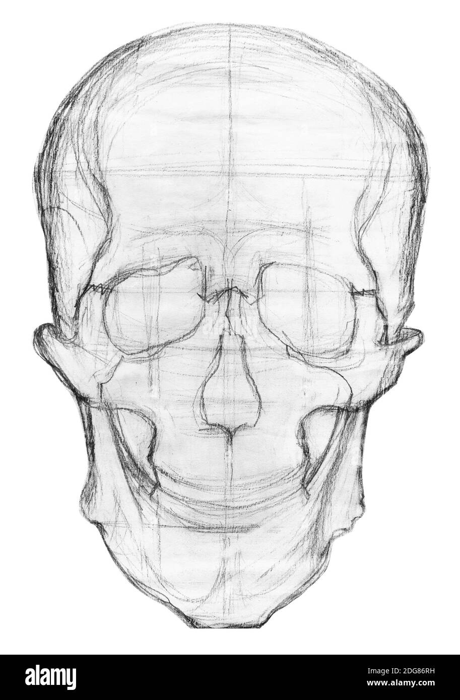 Nessun cranio dentato Foto Stock