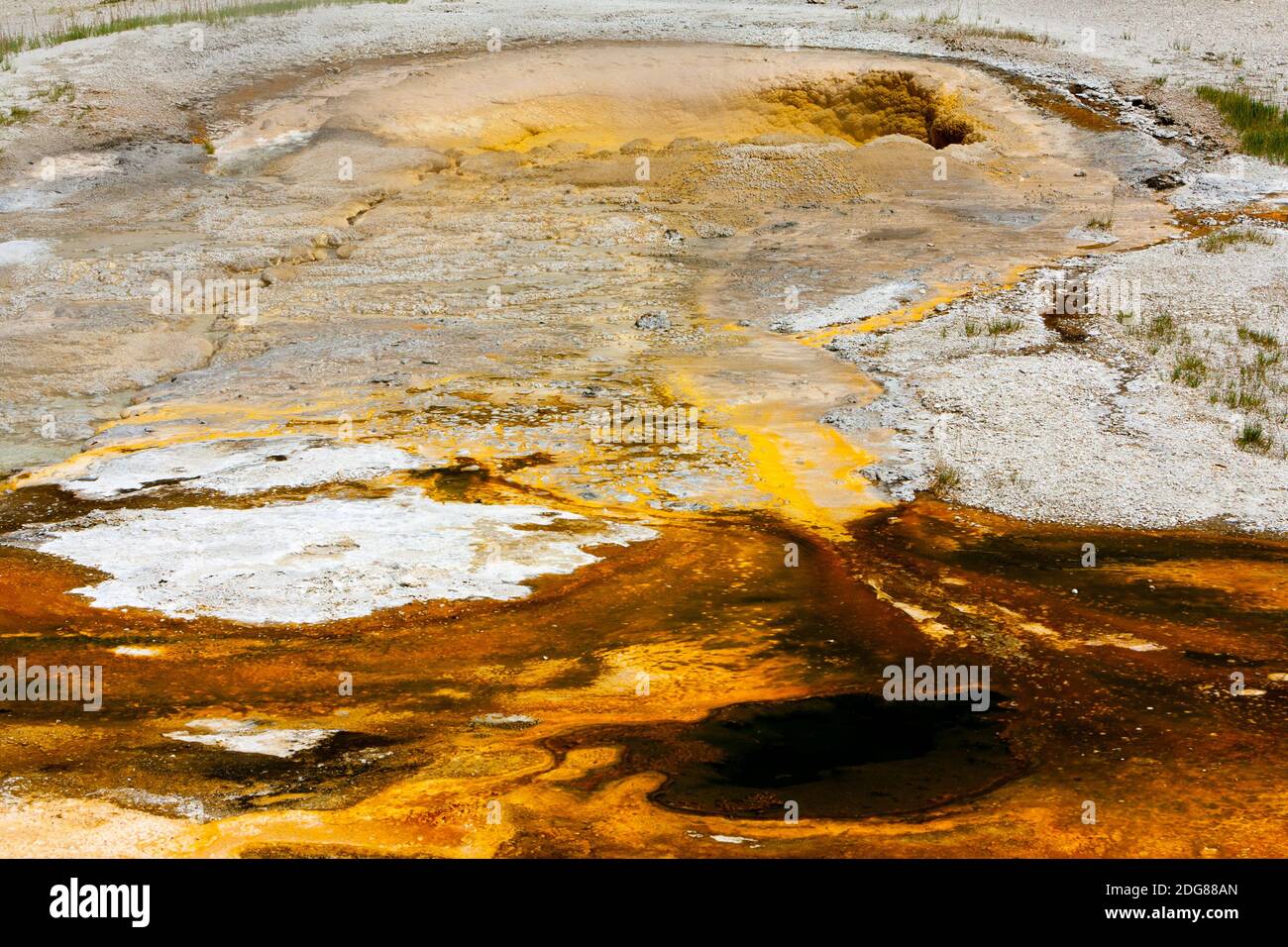 Un geyser a cono con intervalli e durate di secondi. L'ebollizione si costruisce a una cupola, erutta in uno spruzzo a 15 piedi di altezza, quindi si ripete. Foto Stock