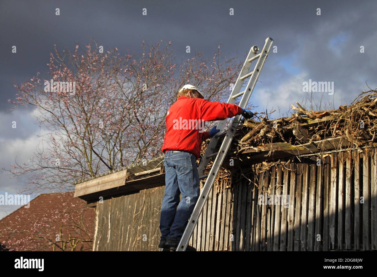 Riparazioni su un vecchio capannone Foto Stock