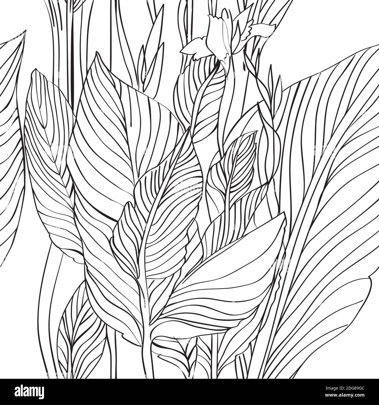 Modello foglie di canna Foto Stock