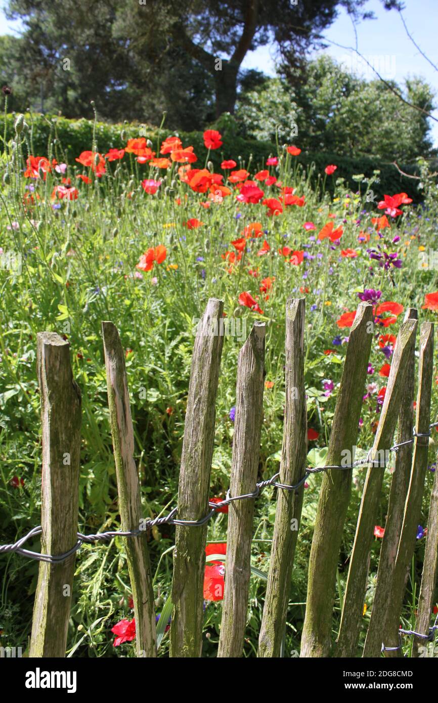 Fence di paling Foto Stock