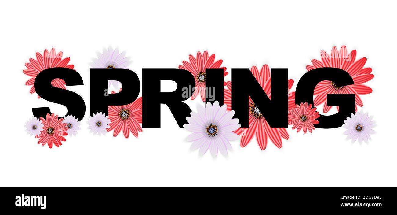 Ciao Primavera Banner saluti Design sfondo con fiori colorati elementi. Illustrazione. Foto Stock