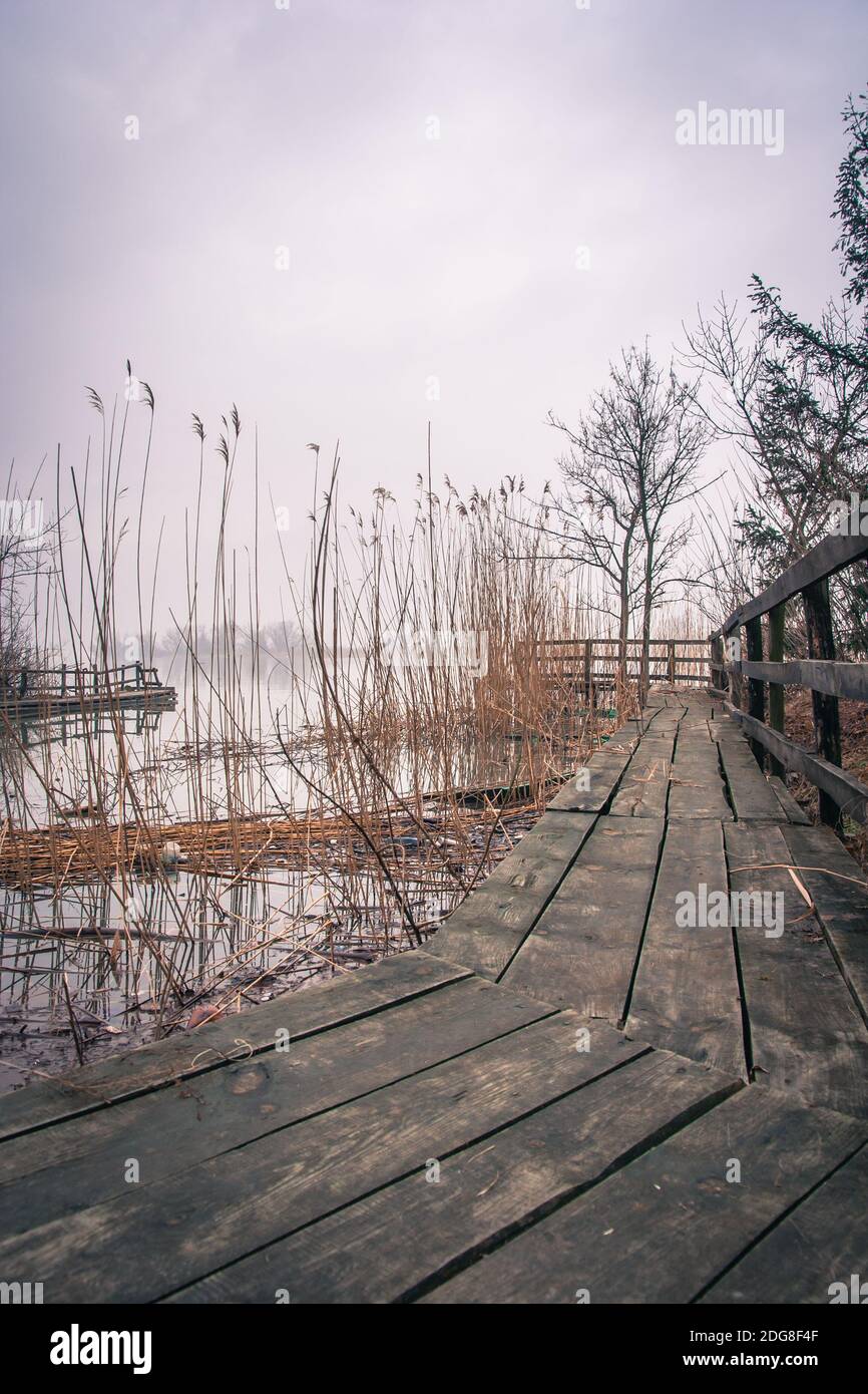 Molo abbandonato al fiume Foto Stock