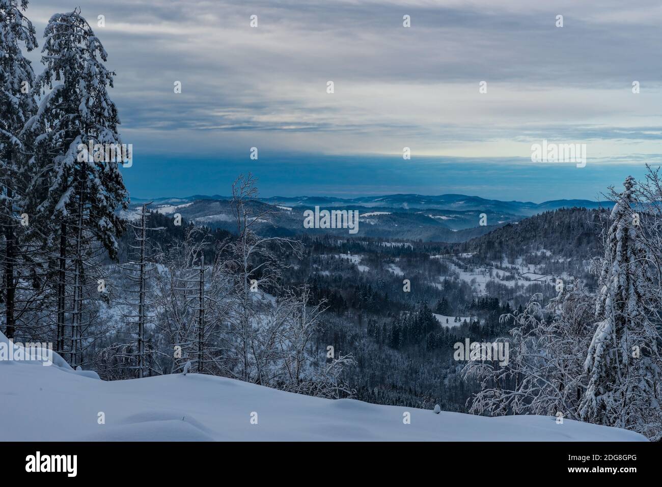 Montagne di Beskid innevate in slovacco - confini polacchi con la maggior parte delle colline coperte di foresta, prati più piccoli - vista da Kysucke Beskydy montagna r Foto Stock