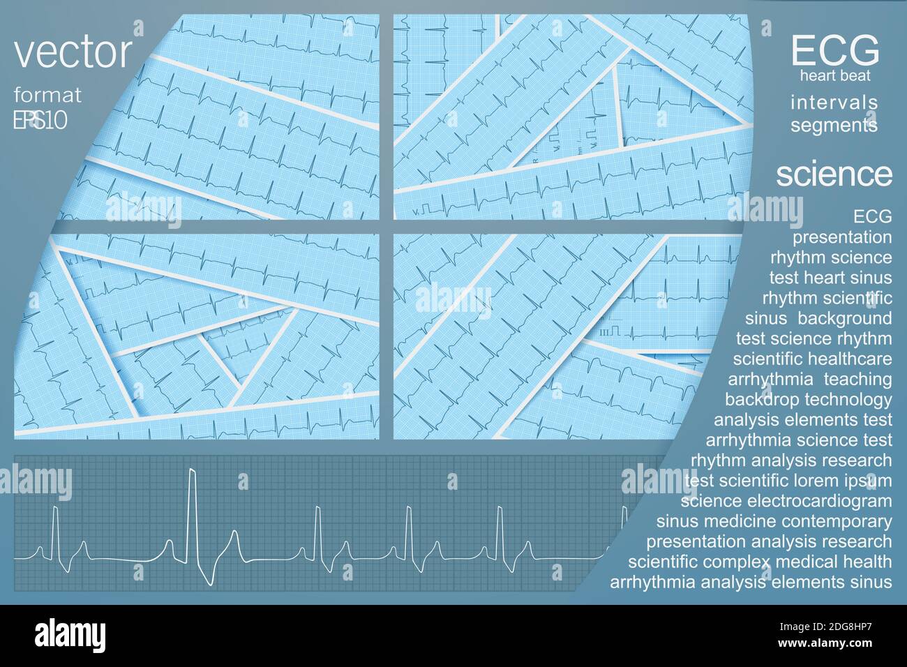 Set di sfondo vettoriale ECG con diversi cardiogrammi realistici con ritmo sinusale per la progettazione di coperture mediche e mediche. EPS10 modificabile. Illustrazione Vettoriale