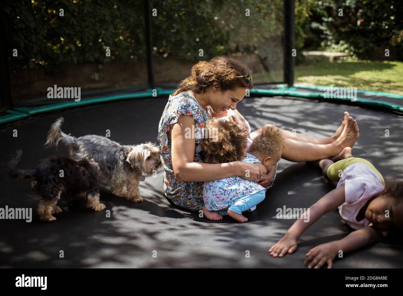 Madre e figlie che giocano sul trampolino cortile con i cani Foto Stock