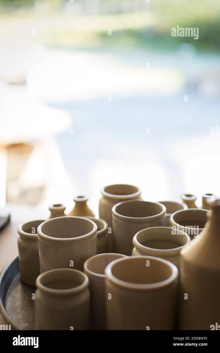 Varietà di flowerpots su vassoio in vivaio di pianta Foto Stock
