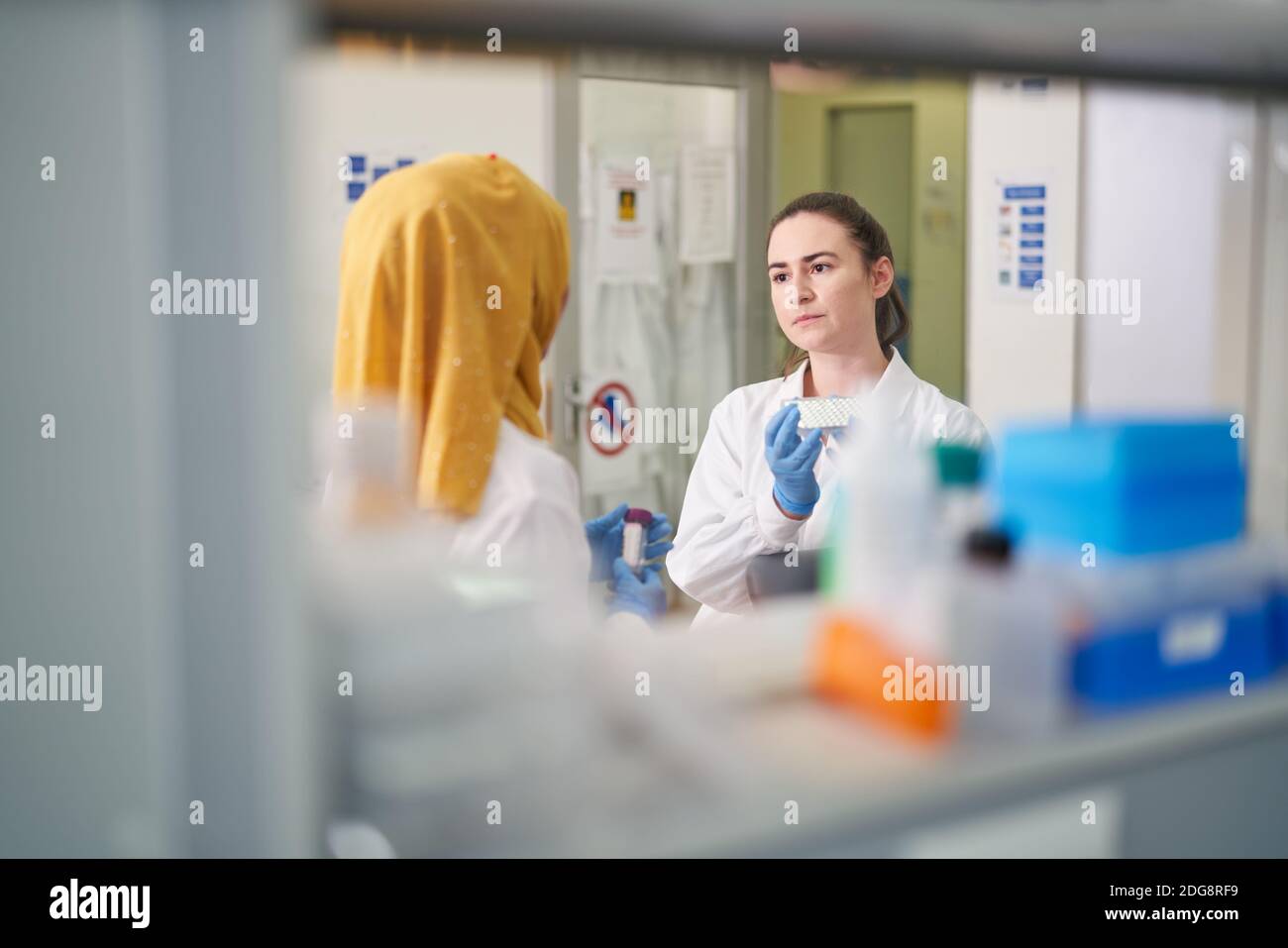 Femmina gli scienziati che lavorano in laboratorio Foto Stock