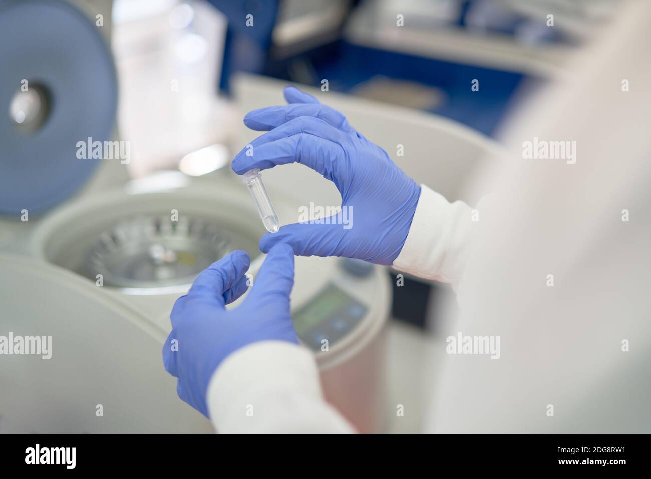 Primo piano di uno scienziato in guanti di gomma che posiziona il campione nella centrifuga Foto Stock