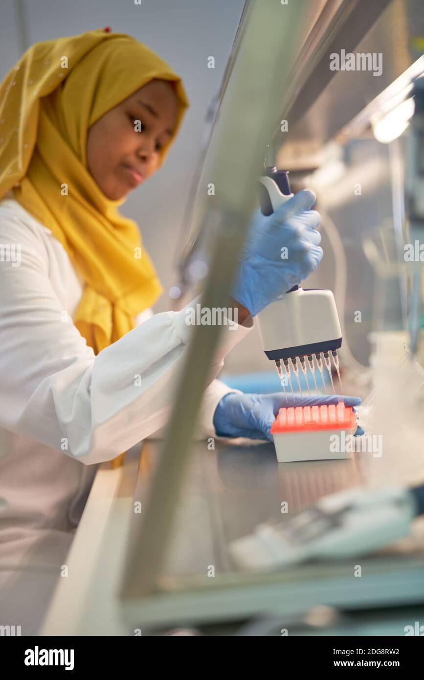 Donna scienziata nel vassoio per pipette di riempimento hijab presso la cappa chimica in laboratorio Foto Stock