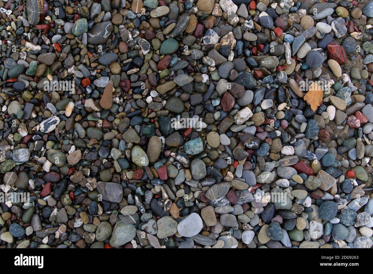 colorato pavimento di ciottoli Foto Stock