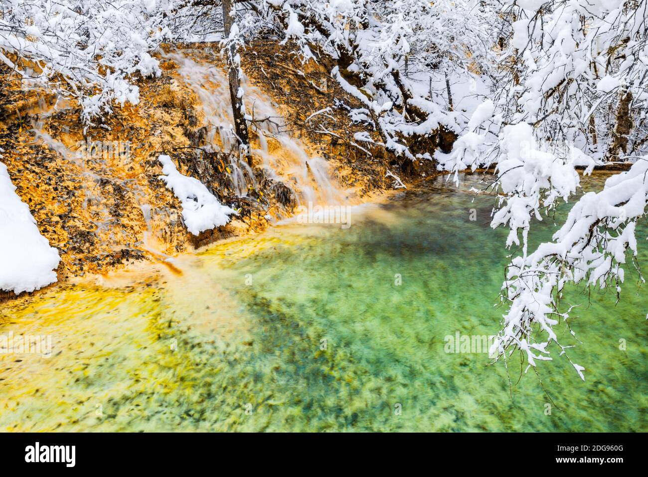 Vista del ruscello e rami innevati di alberi Foto Stock