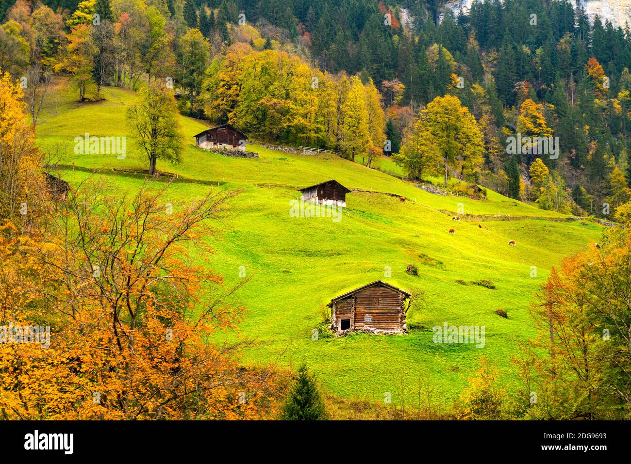 Vista delle case sulle Alpi svizzere in autunno Foto Stock
