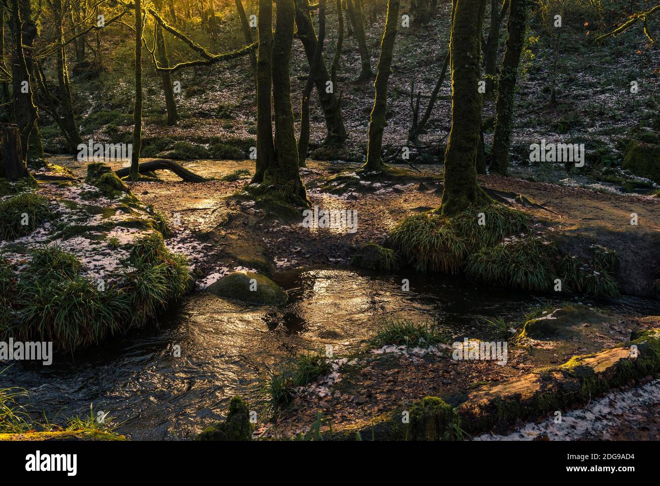 Nel tardo pomeriggio luce del sole mentre il fiume Fowey scorre lungo Golitha Falls nello storico e antico bosco Draynes Wood in Cornovaglia. Foto Stock