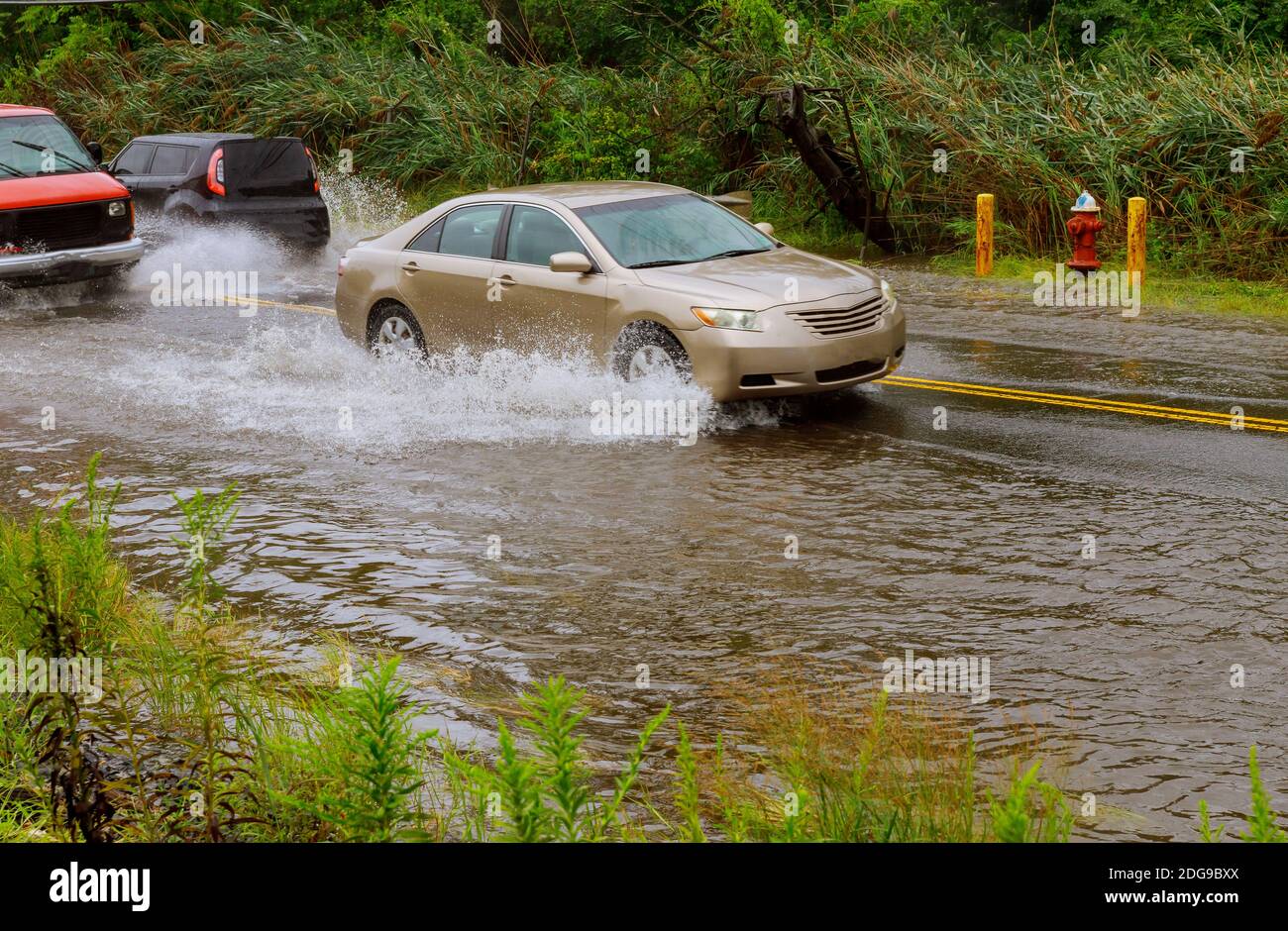 Automobili che guidano su una strada allagata durante un'inondazione di pioggia intensa, Foto Stock