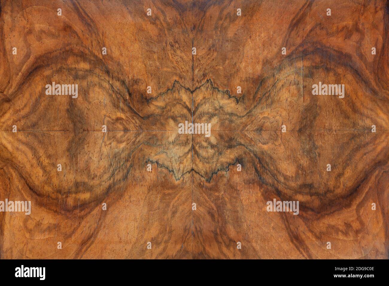Sfondo di struttura in legno Briar, simmetrico Foto Stock