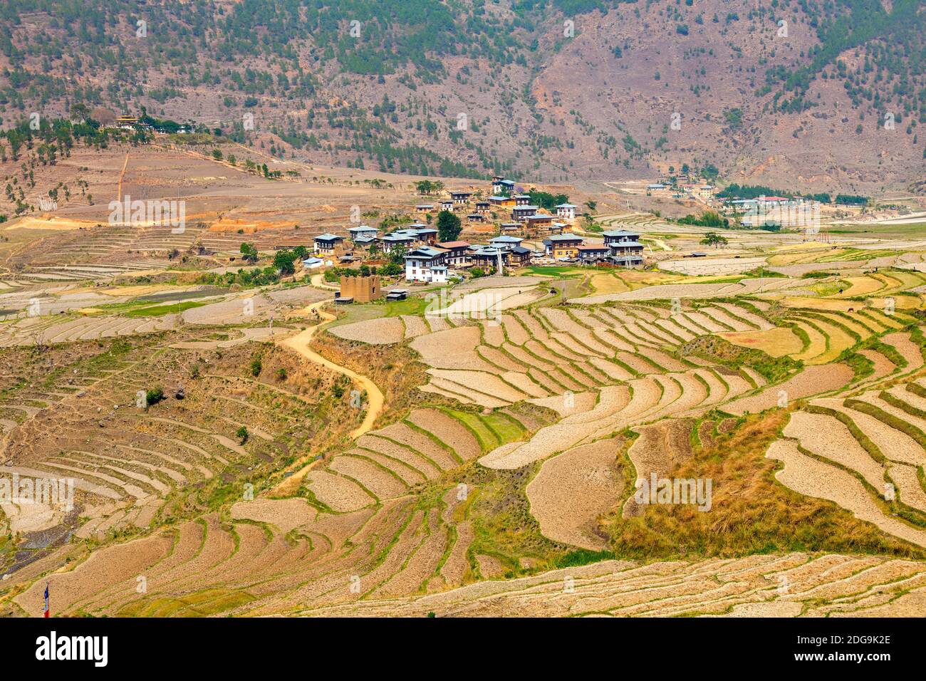 Campo di riso e Villaggio Bhutanese Foto Stock