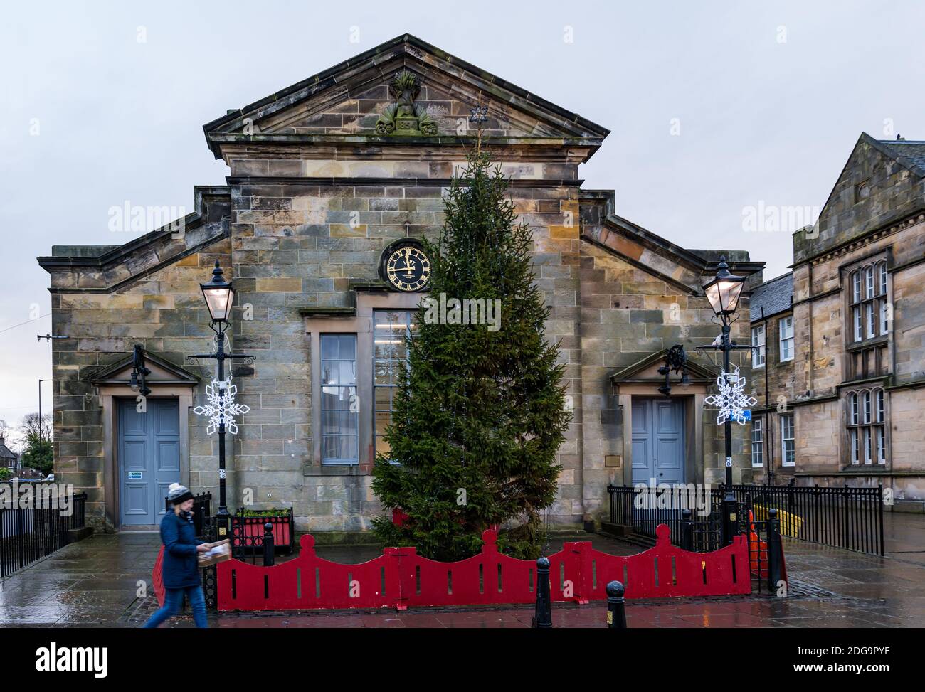 Haddington, East Lothian, Scozia, Regno Unito, 8 dicembre 2020. Decorazioni di Natale: L'albero di Natale su Court Street di fronte al Corn Exchange edificio Foto Stock