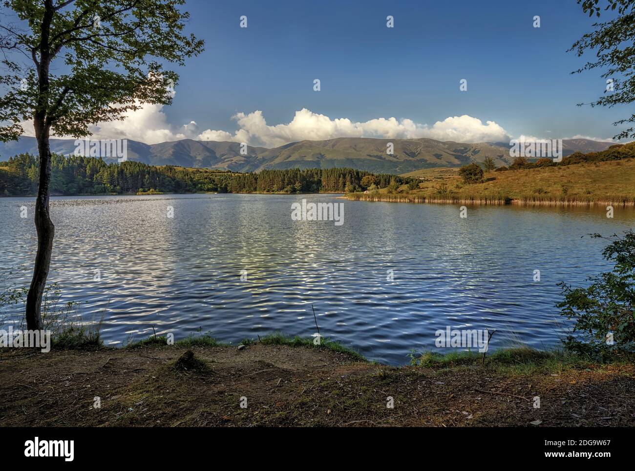 Splendida composizione naturale Foto Stock