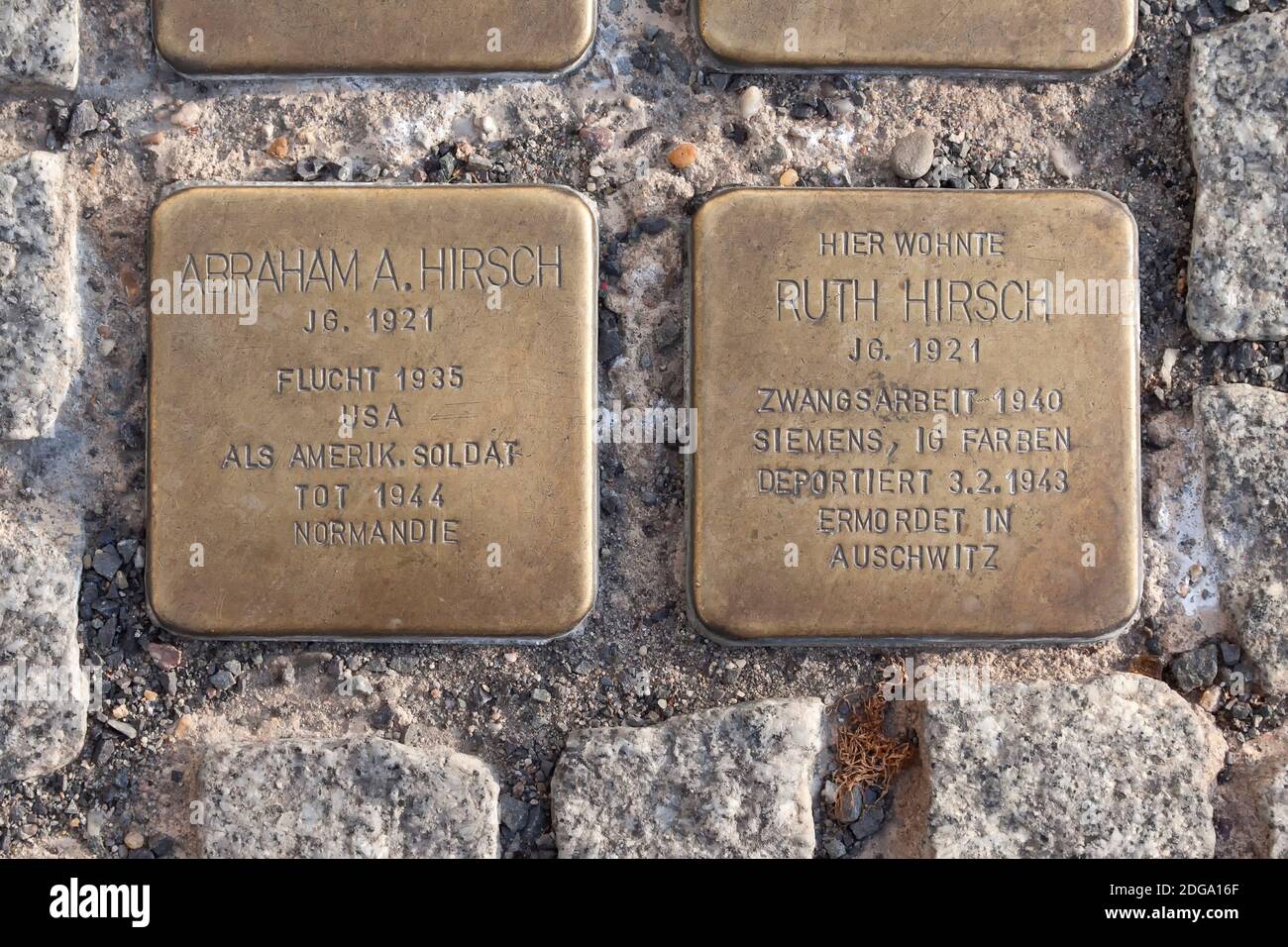 Pietre che inciampano, gemelle Hirsch, a Berlino, Germania Foto Stock