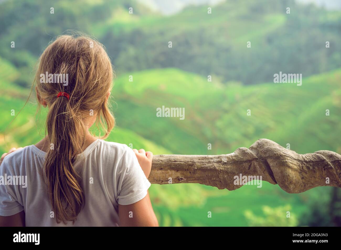 Carina giovane ragazza in piedi su un punto di osservazione nove draghi e cinque tigri e ammirando le cascate a strati Longji Rice terrazze, Pingan villaggio, GUI settentrionale Foto Stock