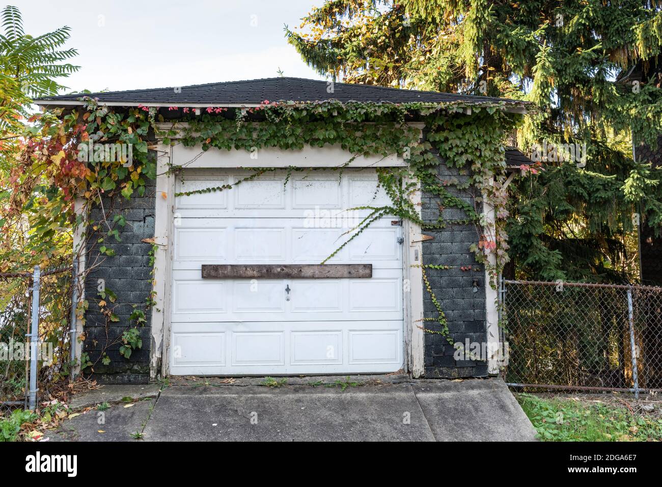 Garage autonomo con edera, architettura residenziale, aspetto orizzontale Foto Stock
