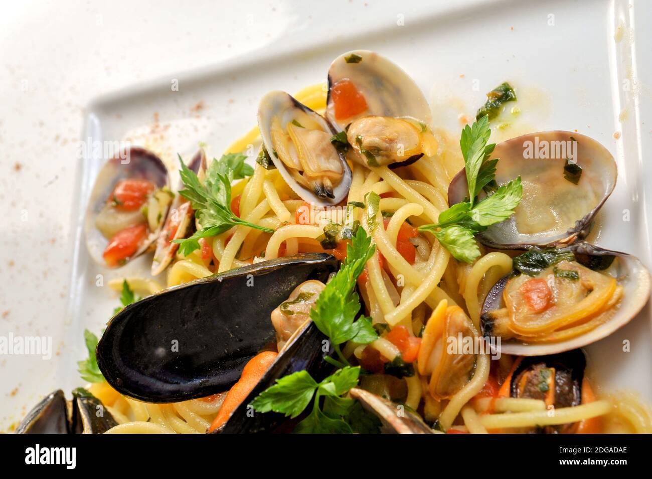 Spaghetti con vongole, cozze e salsa di pomodoro - pasta italiana con frutti di mare, primo piano Foto Stock