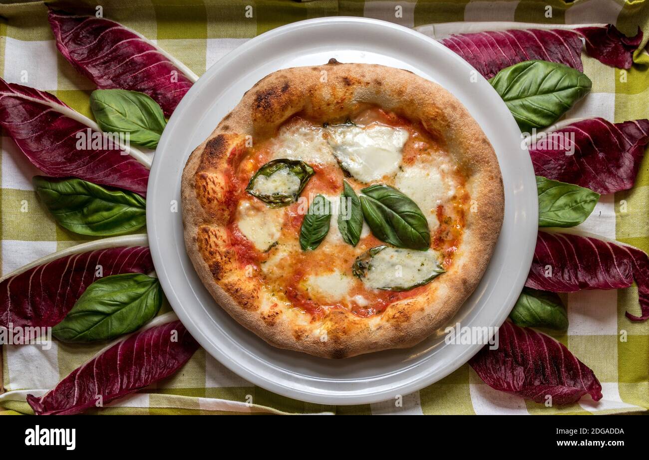 pizza margherita con pomodoro, mozzarella e basilico. Vista dall'alto sullo sfondo di foglie di basilico e radicchio rosso Foto Stock