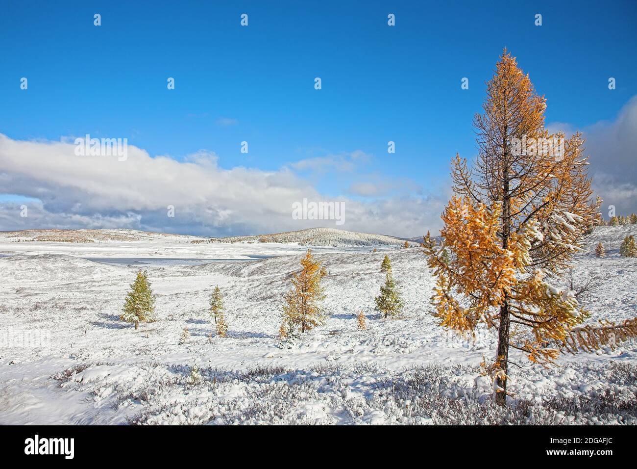 Prima neve in autunno Foto Stock