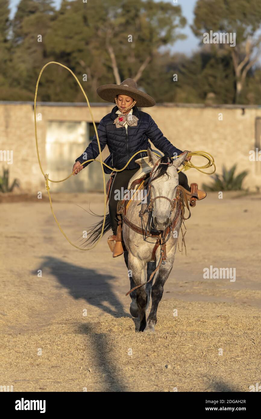 Un giovane messicano Charro (Cowboy) arrotonda su UN gregge di Cavalli che corrono attraverso il campo su UN ranch messicano a. Alba Foto Stock