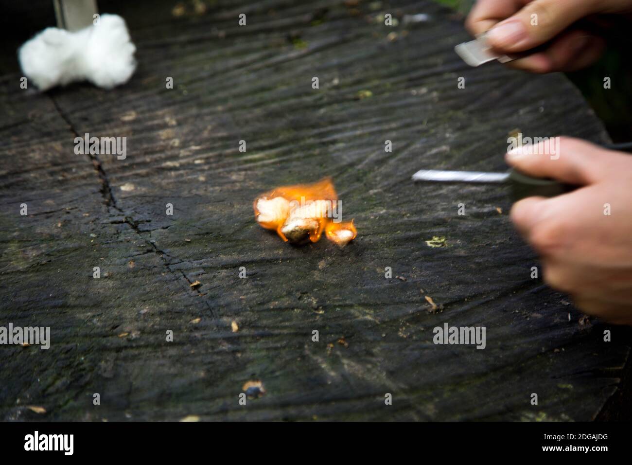 Abbazia di Fountains Foto Stock