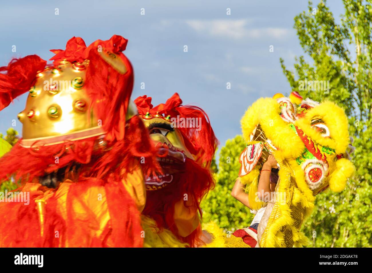 Lion Dance, Capodanno cinese, Montevideo, Uruguay Foto Stock