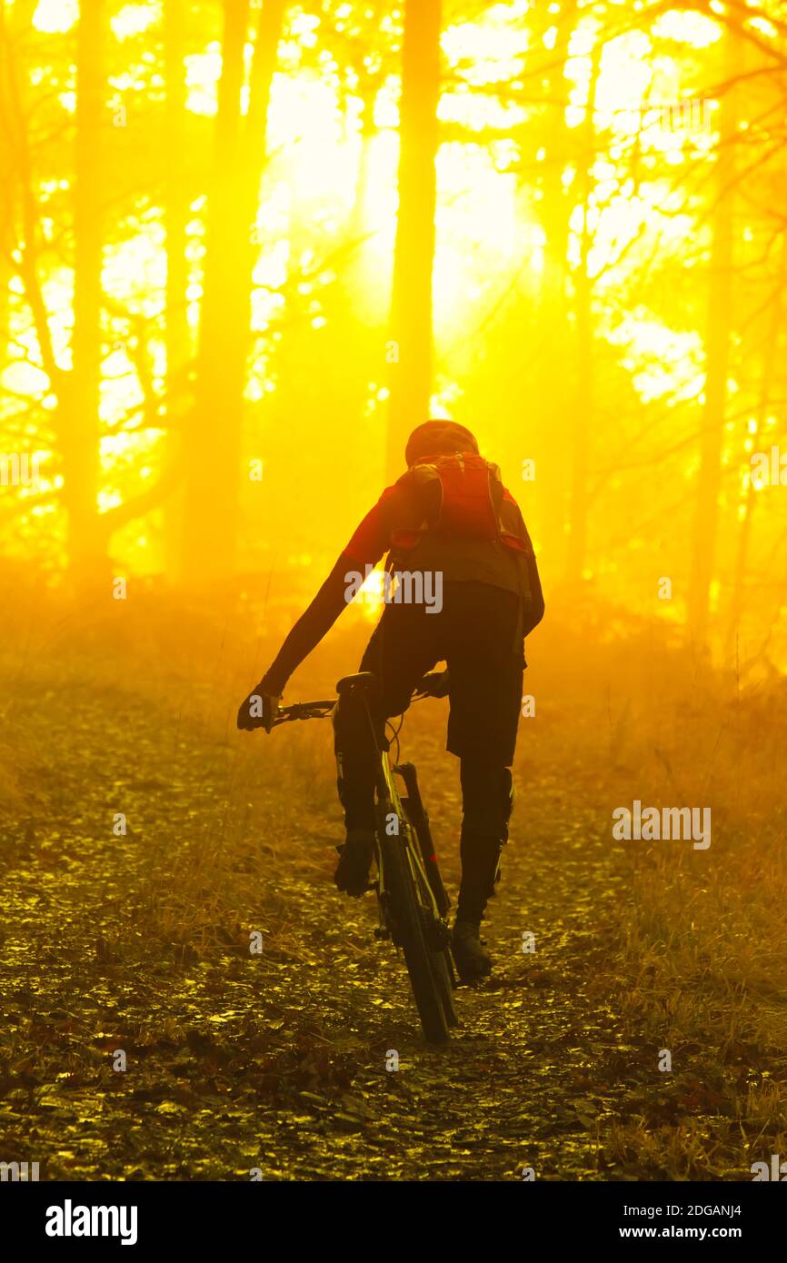 Uomo in bicicletta con mountain bike all'alba o al tramonto - concentrarsi sull'uomo Foto Stock