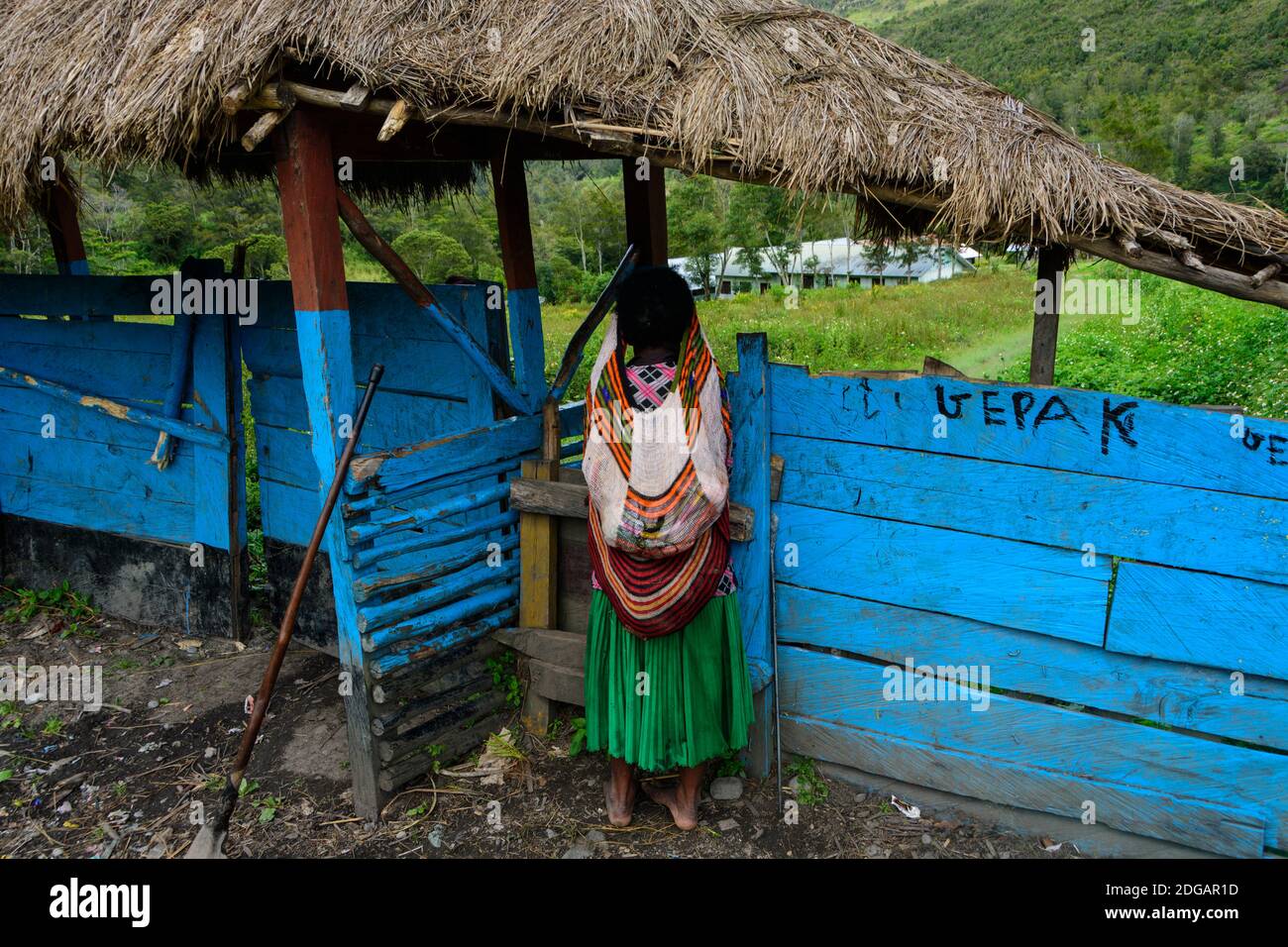 Donna Dani con noken, una borsa in tessuto, in piedi all'ingresso di un  recinto di legno di un villaggio. Baliem Valley, Papua Occidentale,  Indonesia Foto stock - Alamy