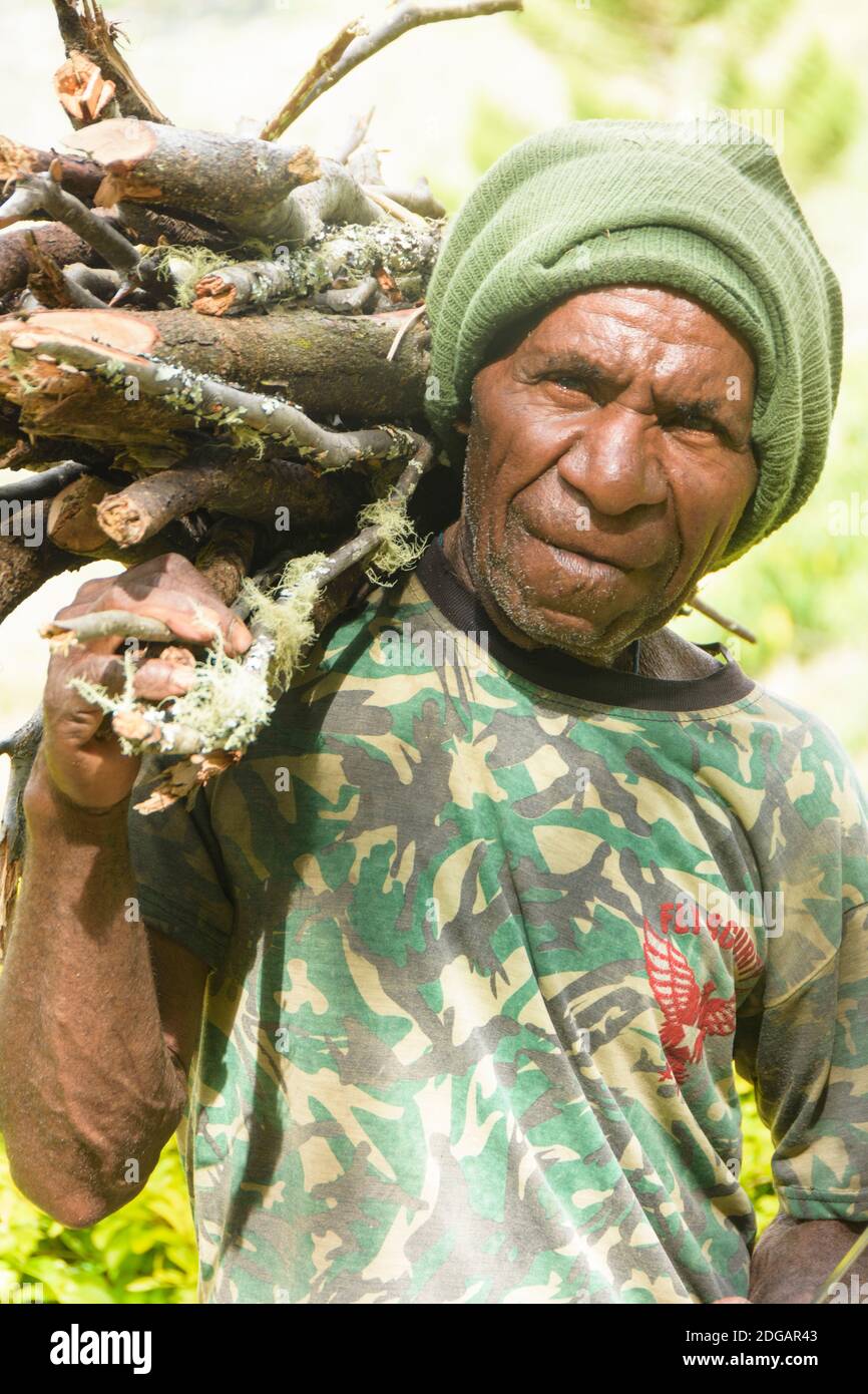 Dani uomo in abiti occidentali che indossa legna da fuoco. Valle di Bamien, Papua occidentale, Indonesia Foto Stock
