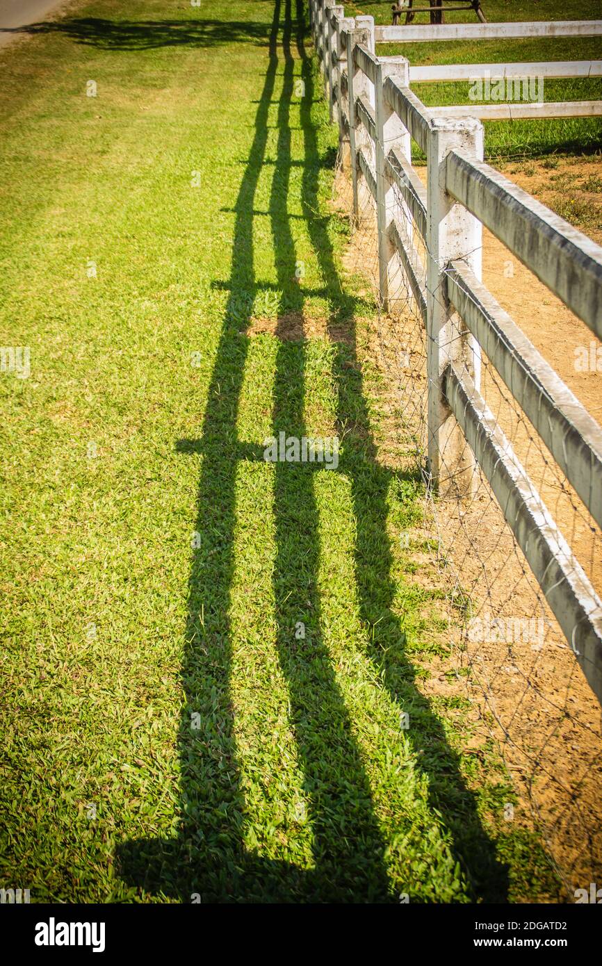 Vista prospettica di lungo recinto di legno nella fattoria verde. Recinzione in legno e ombra nel mezzo del campo verde erba. Foto Stock