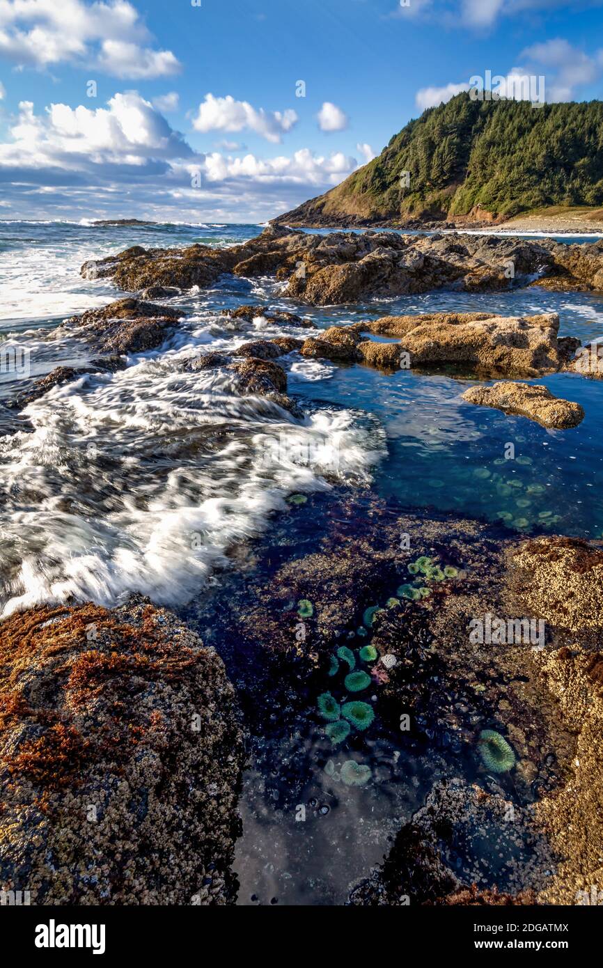 Tramonto a un roccioso Pacific Northwest Beach Foto Stock