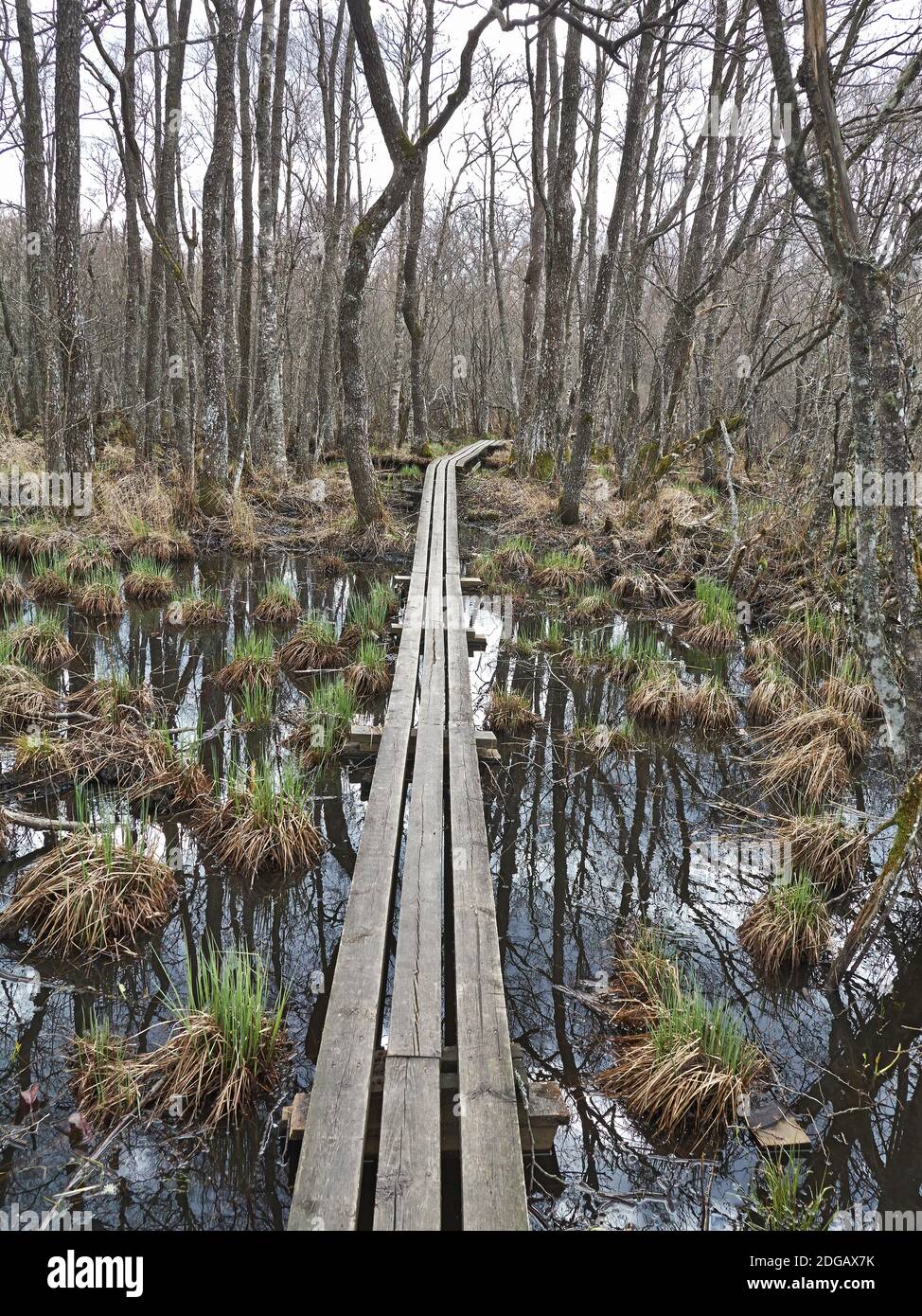 Ponte pedonale sull'acqua sul Dunker sormlandsled, Svezia. Costruire da volontari foto: Bo Arrhed Foto Stock