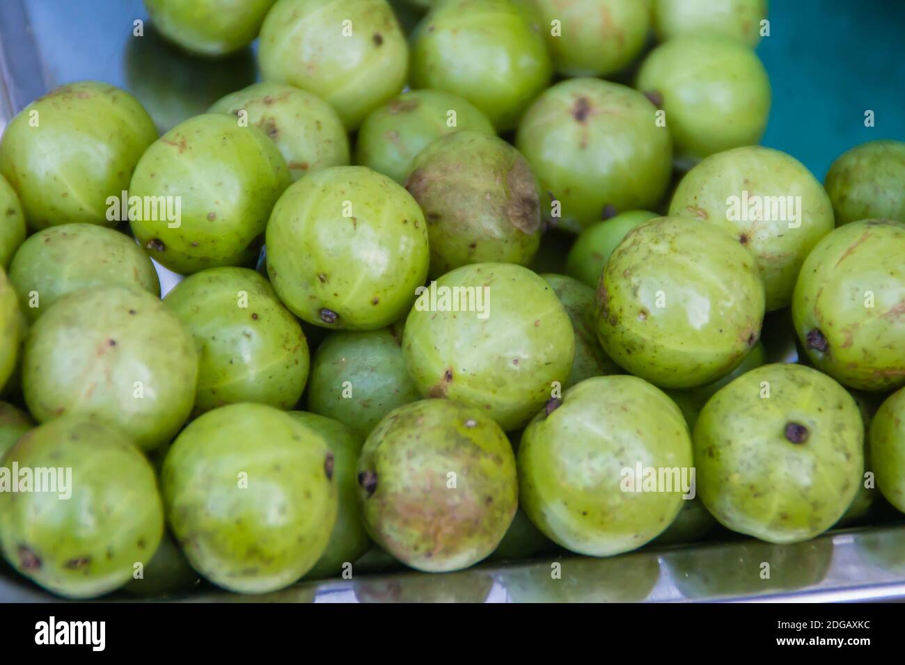 L'uva spina indiana (Phyllanthus emblica), conosciuta anche come emblica, emblica mirobalana, mirobalano, uva spina indiana, Malacca, o amla frutta. fru Emblic Foto Stock