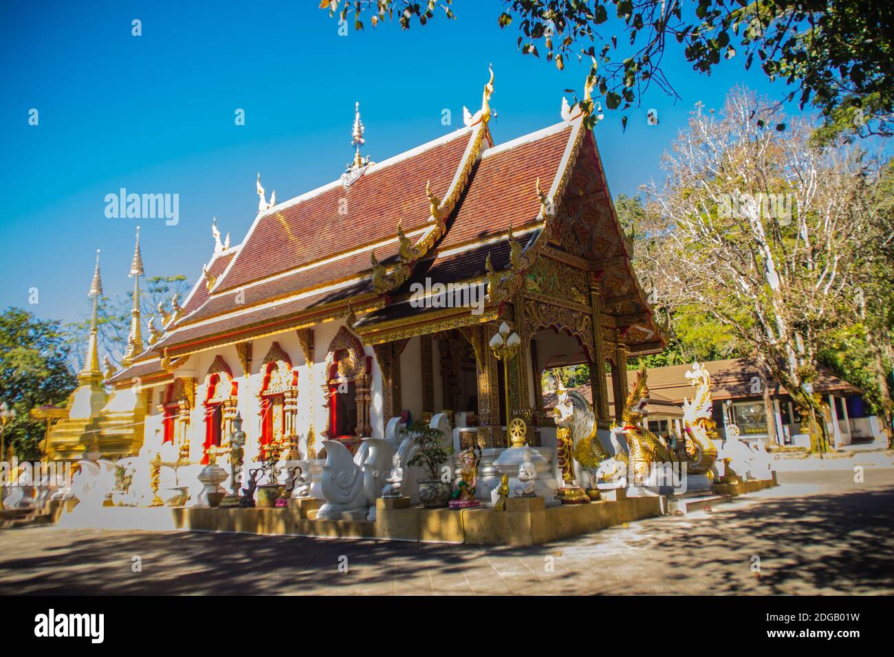 Belle pagode dorate a Wat Phra che Doi Tung, Chiang Rai. Wat Phra che Doi Tung comprende una gemella Lanna-stile stupa, uno dei quali è credere Foto Stock