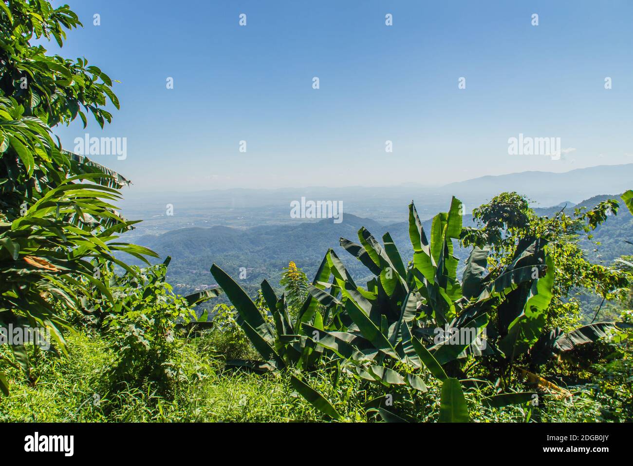 Bellissimo punto panoramico sulle colline di Doi Tung nella provincia di Chiang Rai, Thailandia. Foto Stock