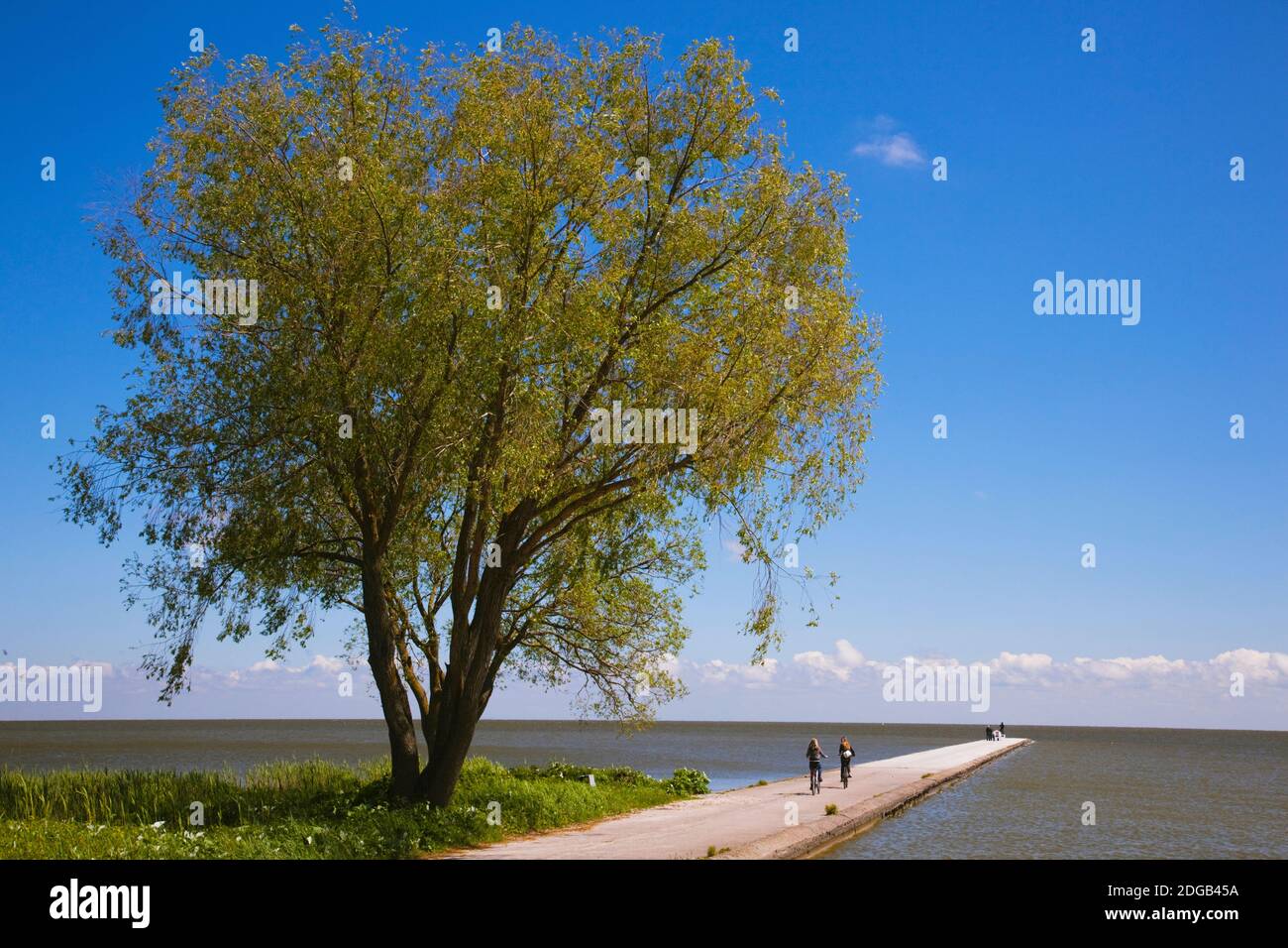 Turisti su un molo, Laguna curoniana, Nida, Spit curoniana, Lituania Foto Stock