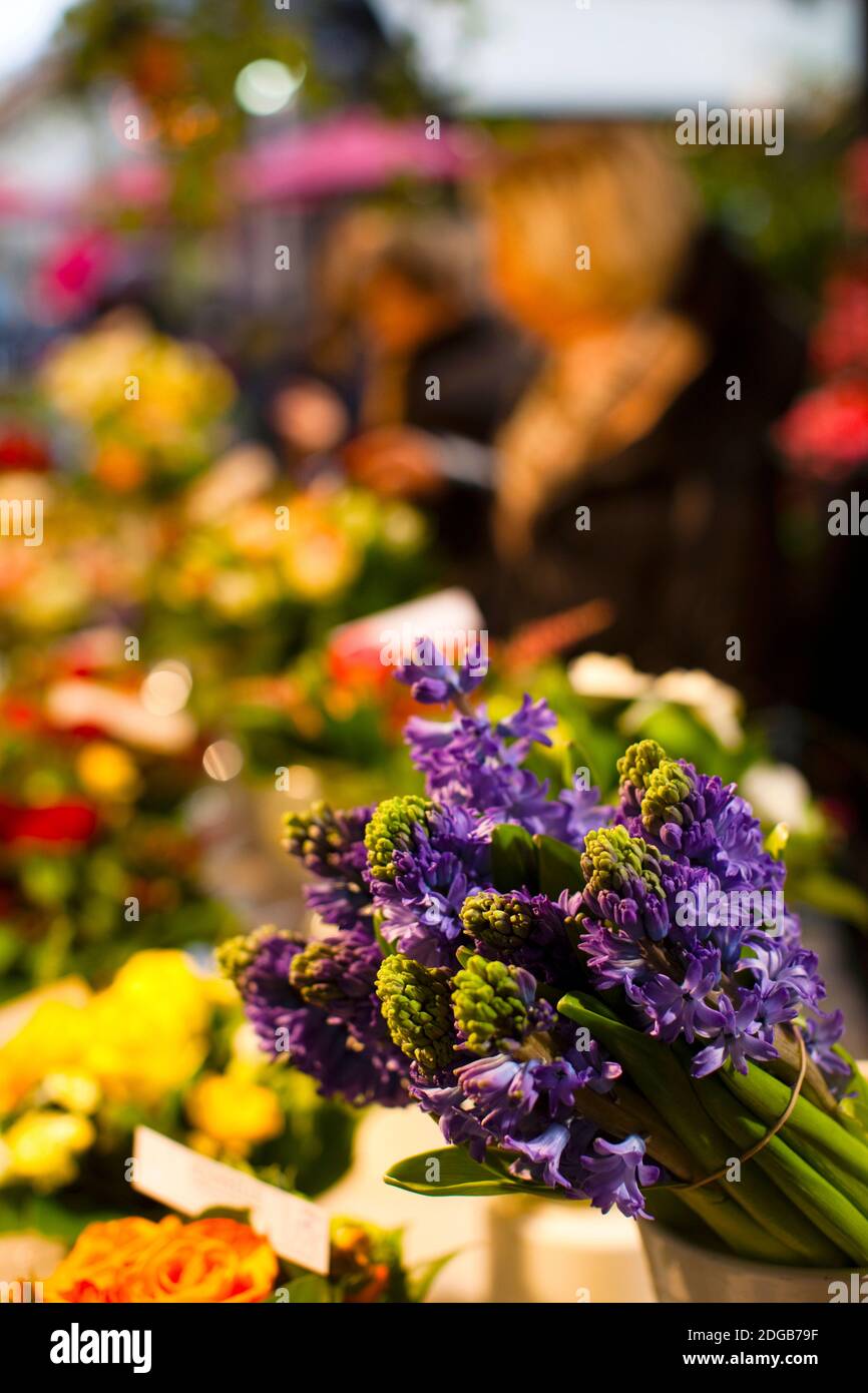 Mazzo di fiori in un negozio di fiori, Rue De Buci, Parigi, Ile-de-France, Francia Foto Stock