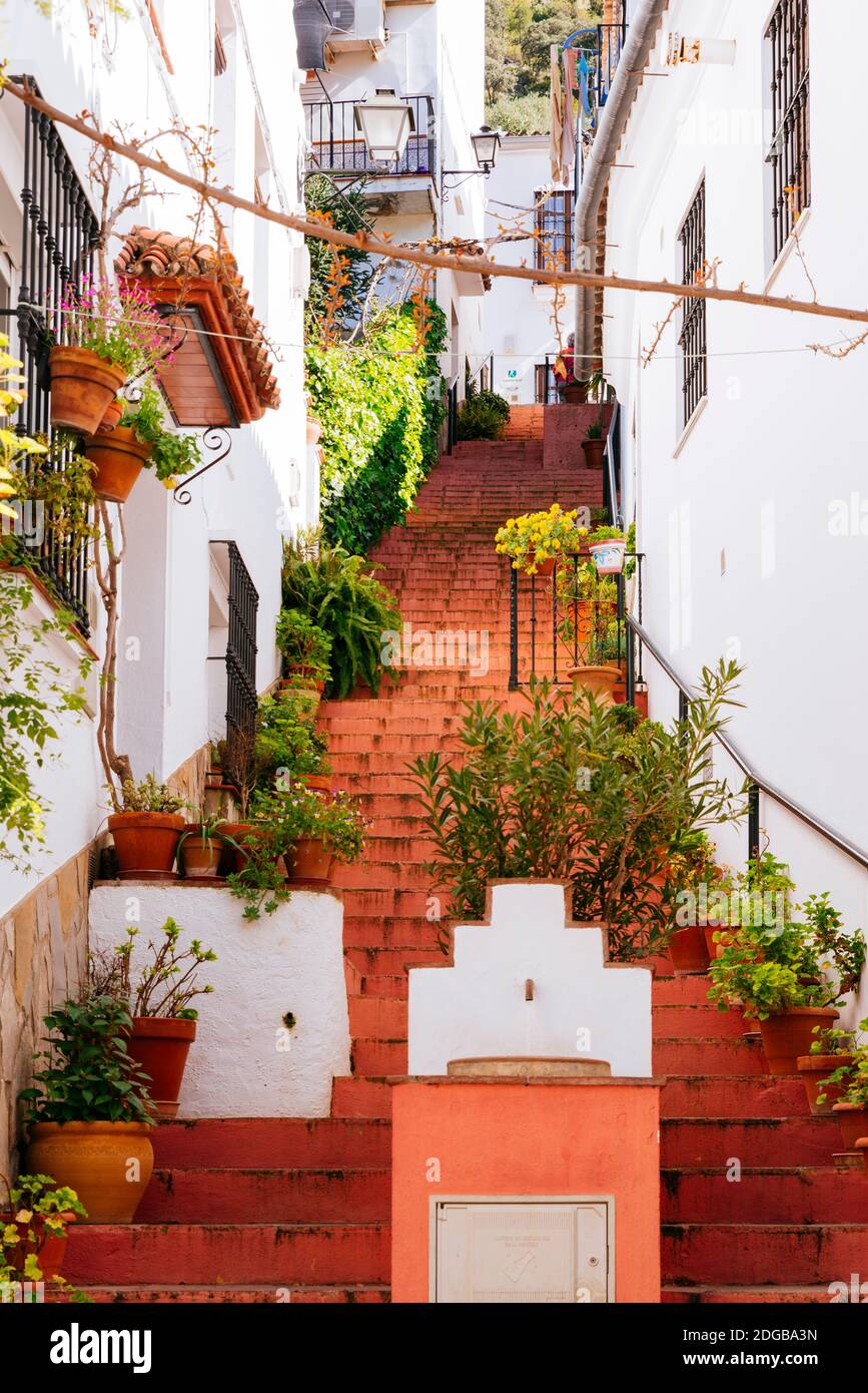 Strada stretta e scaglionata nel villaggio. Benamahoma, Grazalema, Cádiz, Andalucía, Spagna, Europa Foto Stock